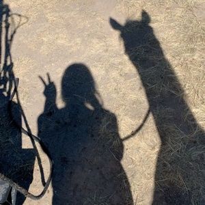 Meet your Posher, Anna